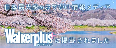 「ウォーカープラス」にて、鷹巣中央公園の桜をご紹介しております。