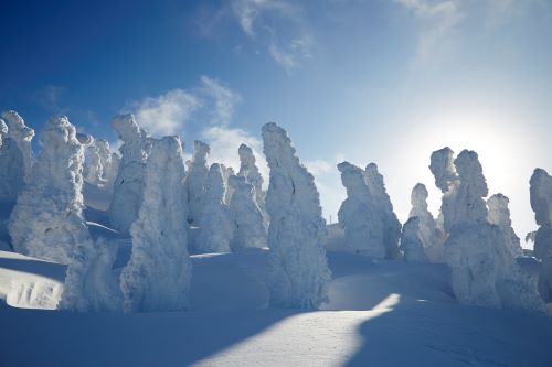 ★樹氷